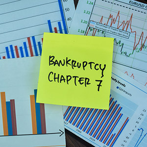 Chapter 7 Bankruptcy